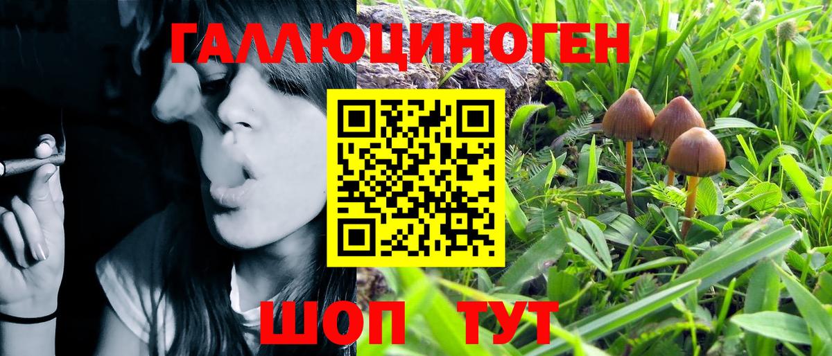 Псилоцибиновые грибы Psilocybine cubensis  Вход с VPN  Галлюциногенные грибы GOLDEN TEACHER  Асбест 